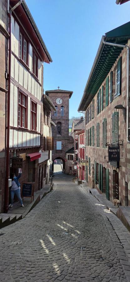 Gite Ultreia Vertes Montagnes Saint-Jean-Pied-de-Port Esterno foto